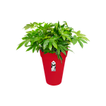 loft urban rond hoog 42cm veenbes rood